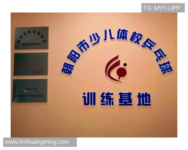 深圳乒乓球队运营革新探索新模式助力体育发展与人才培养